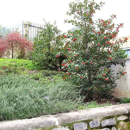 Pescalina - Casa vacanze *